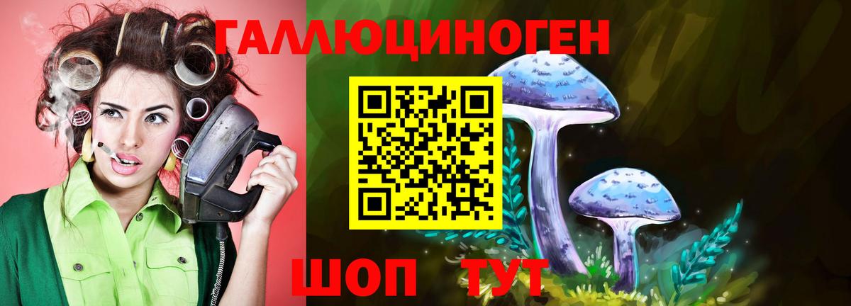 Псилоцибиновые грибы Psilocybine cubensis  Вход с VPN  как найти   Тихорецк  Псилоцибиновые грибы ЛСД 
